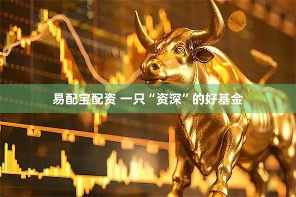易配宝配资 一只“资深”的好基金