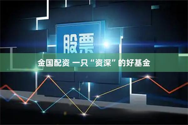 金国配资 一只“资深”的好基金