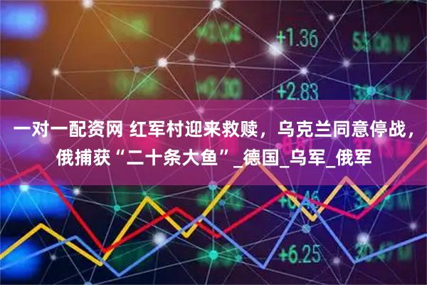 一对一配资网 红军村迎来救赎，乌克兰同意停战，俄捕获“二十条大鱼”_德国_乌军_俄军