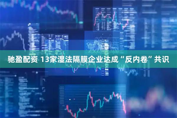 驰盈配资 13家湿法隔膜企业达成“反内卷”共识