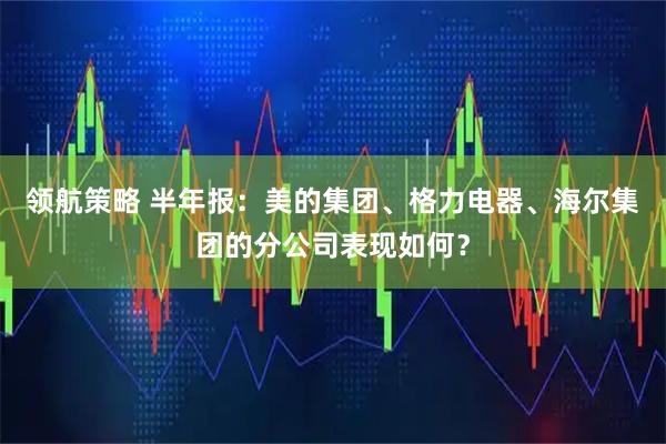 领航策略 半年报：美的集团、格力电器、海尔集团的分公司表现如何？