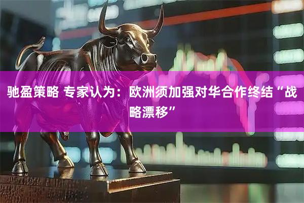 驰盈策略 专家认为：欧洲须加强对华合作终结“战略漂移”