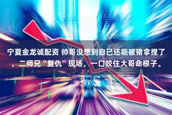 宁夏金龙诚配资 帅哥没想到自己还能被猪拿捏了，二师兄“复仇”现场，一口咬住大哥命根子。