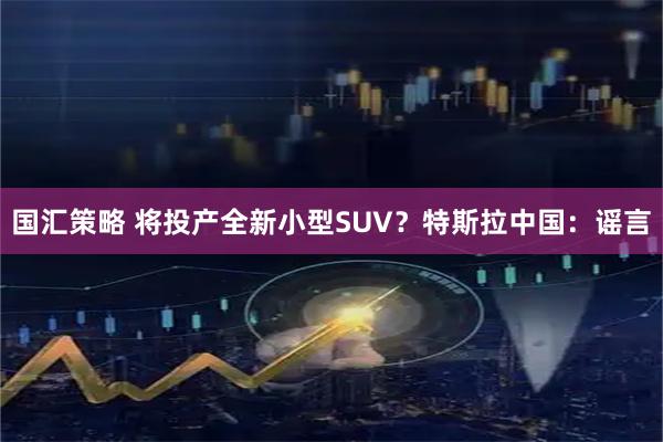国汇策略 将投产全新小型SUV？特斯拉中国：谣言