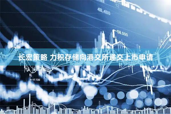 长宏策略 力积存储向港交所递交上市申请